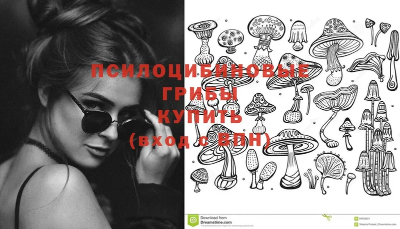 Галлюциногенные грибы MAGIC MUSHROOMS  Курильск 